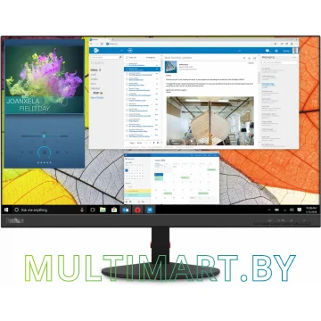 Монитор Lenovo ThinkVision S24q-10 (61E7GAT1EU)